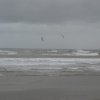 ponente 09-023